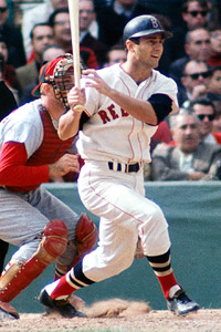 Yaz.jpg
